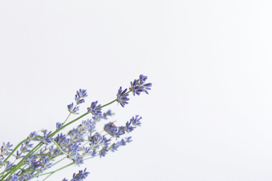 8 Ideas for Everyday Peace Rituals