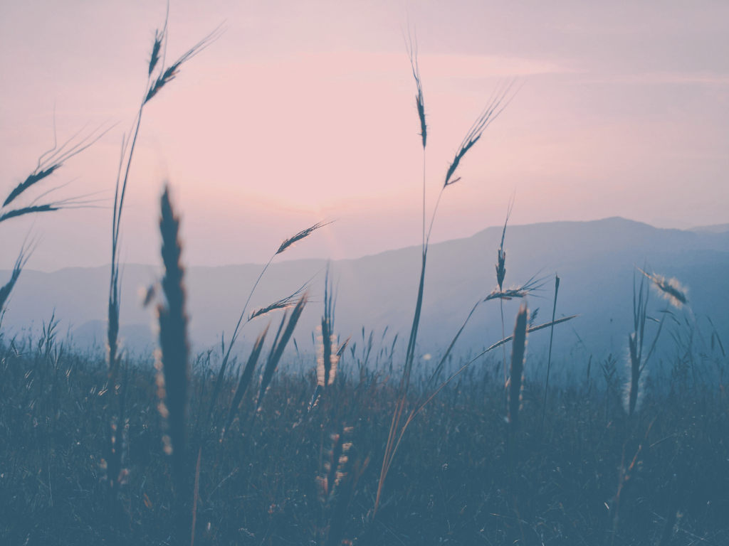 How to Add Some Peace into a Busy Daily Life