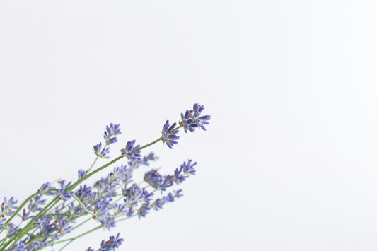 8 Ideas for Everyday Peace Rituals