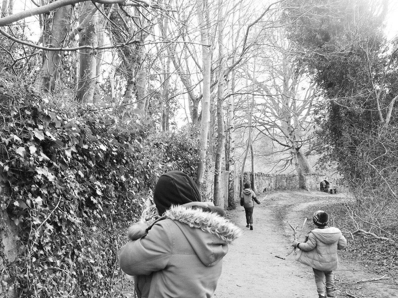 2 Robins, a Chapel and a Boy with His Cat